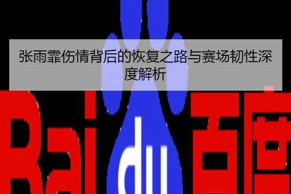 张雨霏伤情背后的恢复之路与赛场韧性深度解析