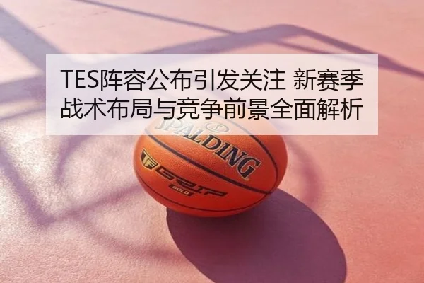 TES阵容公布引发关注 新赛季战术布局与竞争前景全面解析
