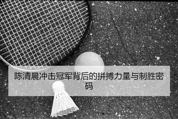 陈清晨冲击冠军背后的拼搏力量与制胜密码