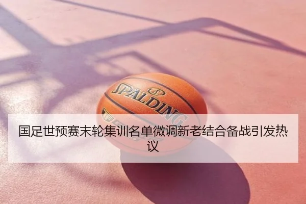 国足世预赛末轮集训名单微调新老结合备战引发热议